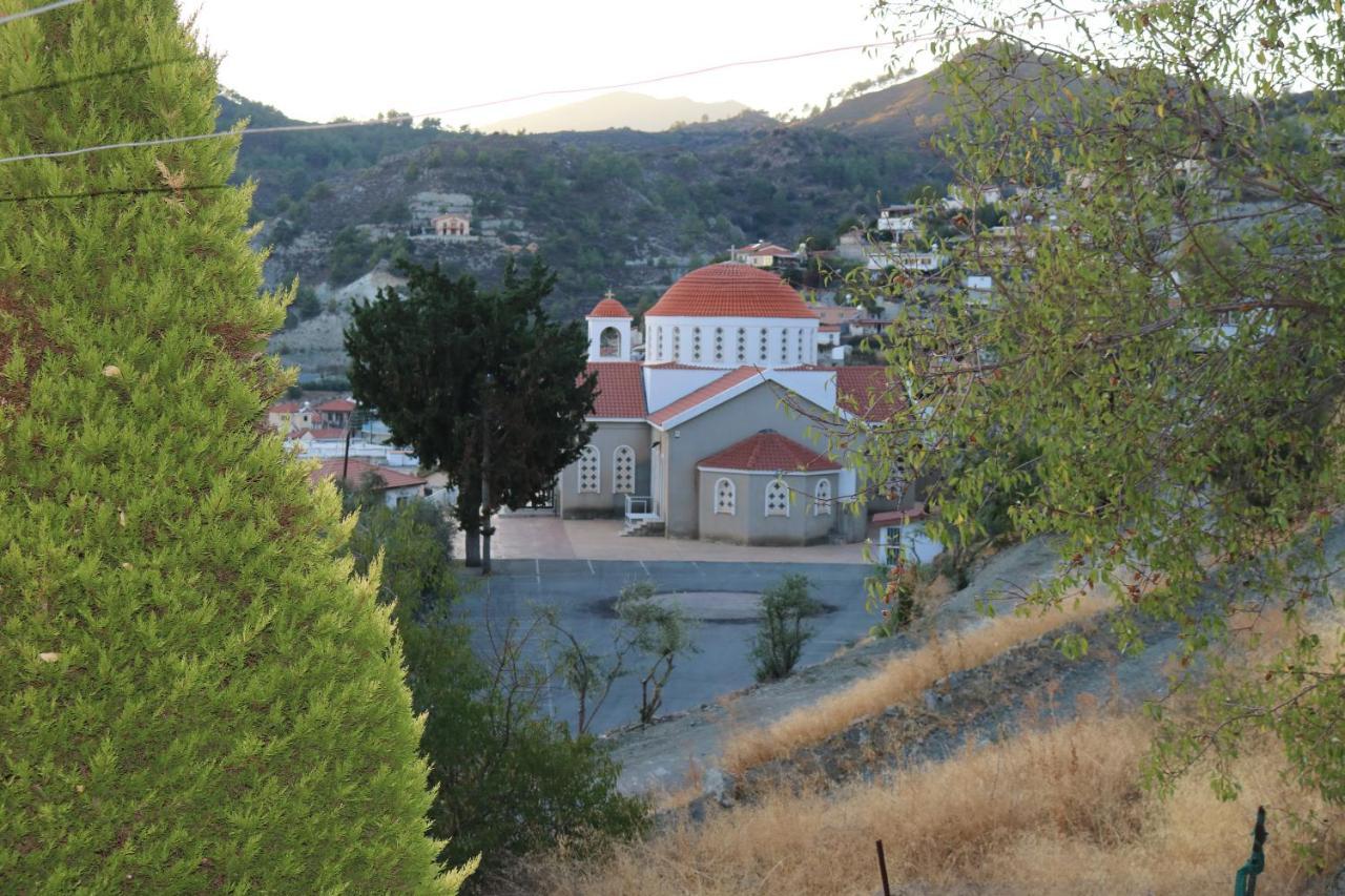 Georgiou Villa In Action Pelendri Exterior foto
