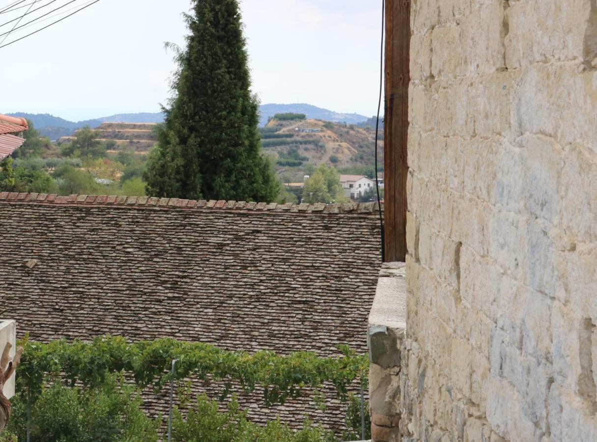 Georgiou Villa In Action Pelendri Exterior foto