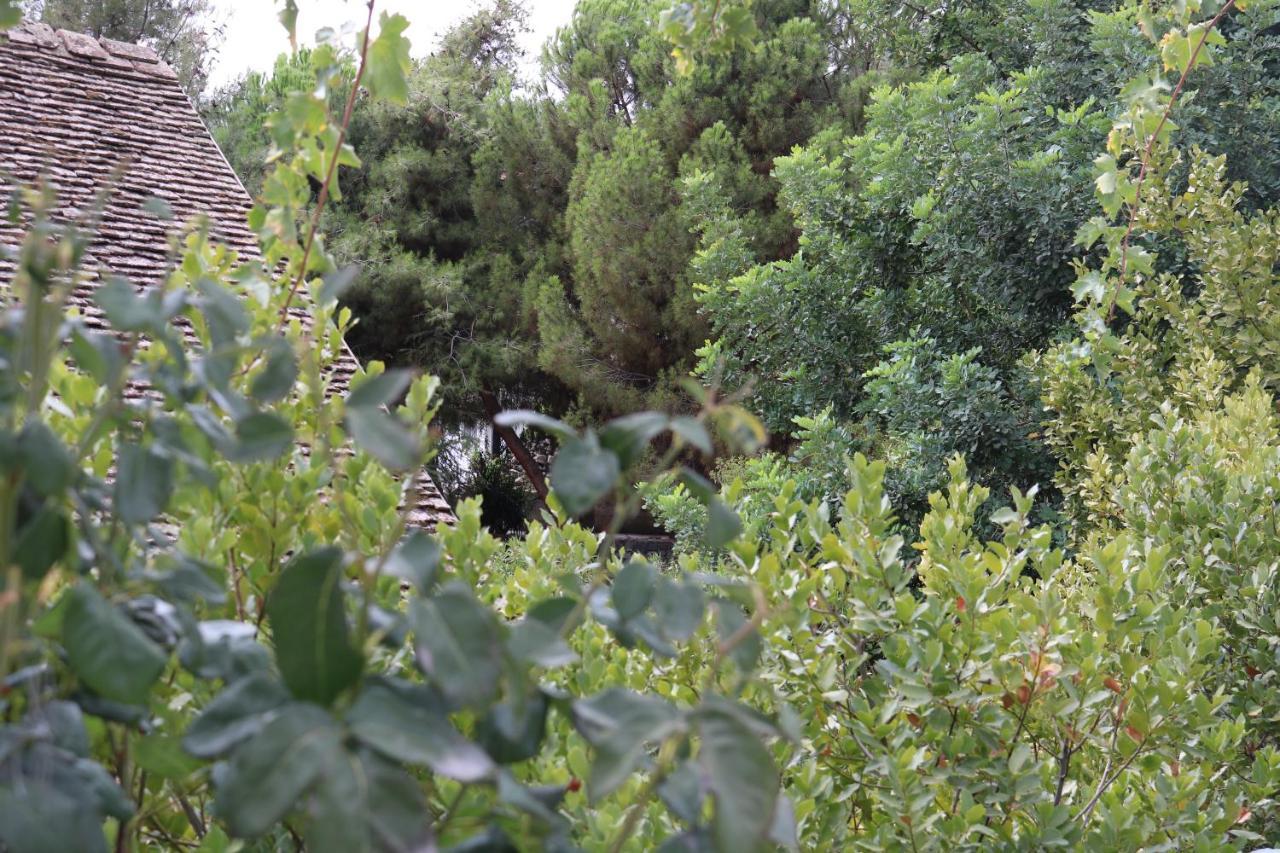 Georgiou Villa In Action Pelendri Exterior foto