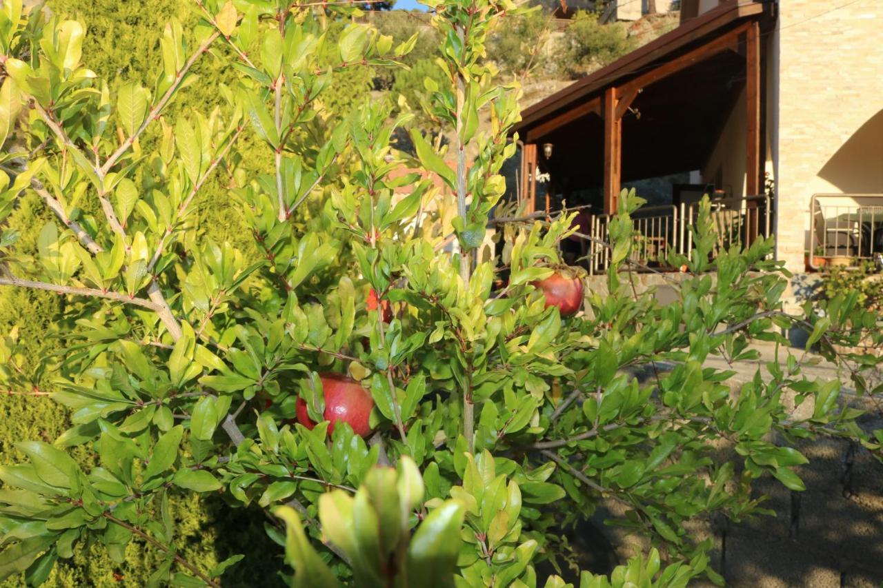 Georgiou Villa In Action Pelendri Exterior foto
