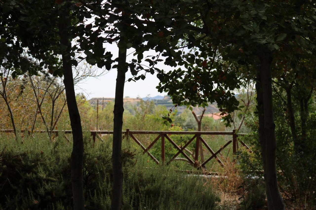Georgiou Villa In Action Pelendri Exterior foto