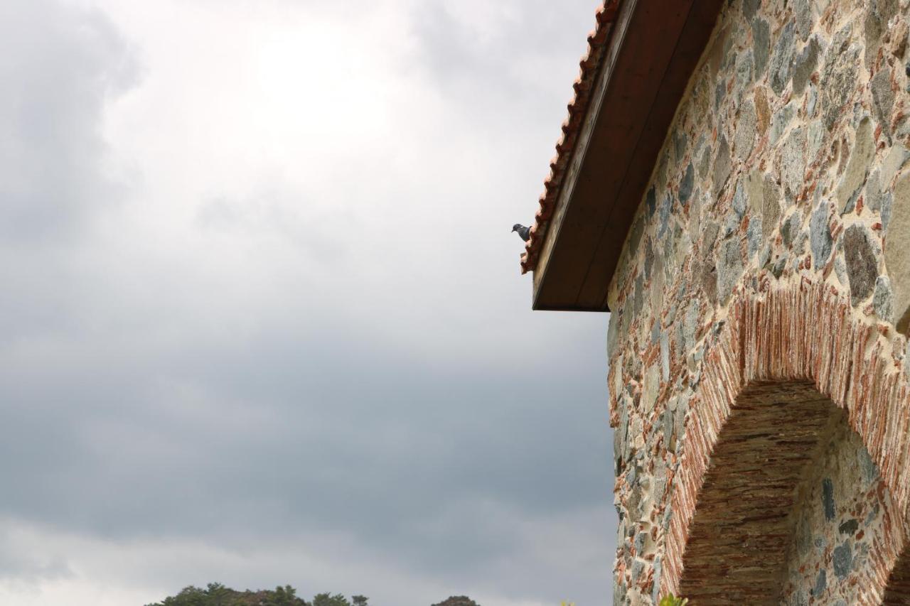 Georgiou Villa In Action Pelendri Exterior foto