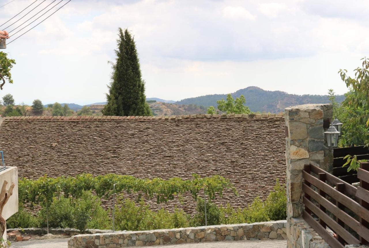 Georgiou Villa In Action Pelendri Exterior foto