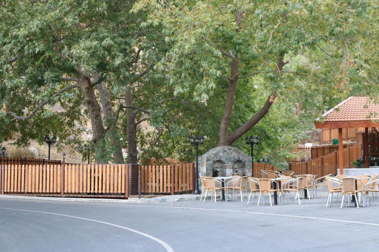 Georgiou Villa In Action Pelendri Exterior foto
